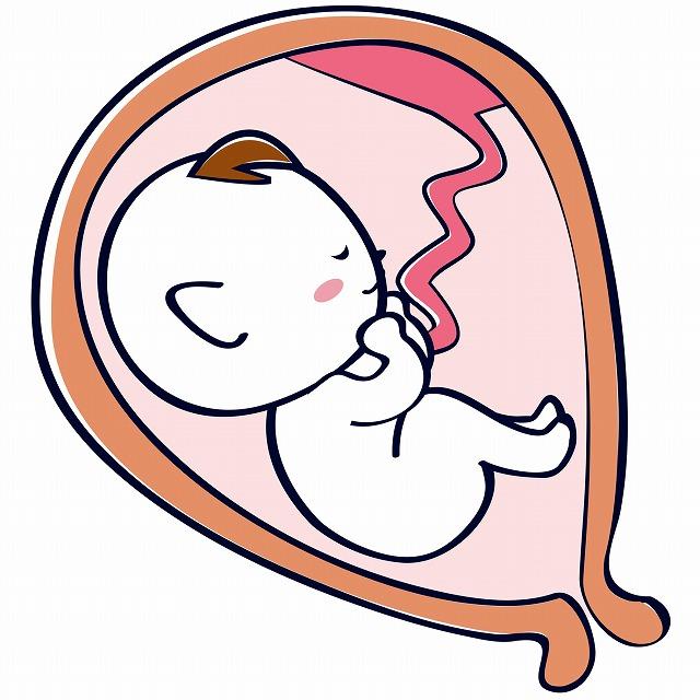 胎児 赤ちゃん